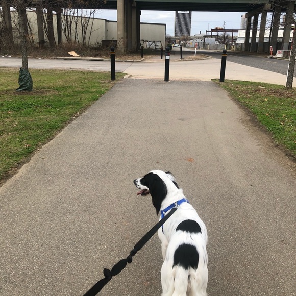 Meet your Posher, Benjamin - Picture 5 of 5